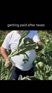 …